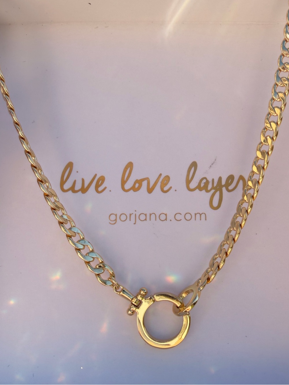 Gorjana 18k Gold Plated Curb Chain Necklace with Round Clasp